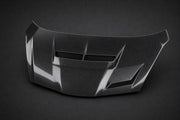 2009-2013 Honda Fit / Jazz GE8 T-R Style Carbon Fiber Hood