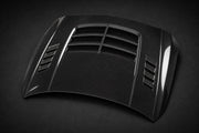 2013-2018 Mercedes-Benz A-Class W176 Carbon Fiber Hood
