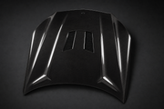 2014-2016 Mercedes-Benz E-Class W212 Facelift Vented Carbon Fiber Hood
